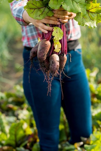 close-up-hands-holding-vegetables_23-2148617170-7945819