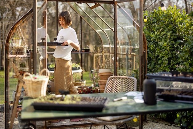 gardener-with-seedling-tray-greenhouse_506452-20193-7513215