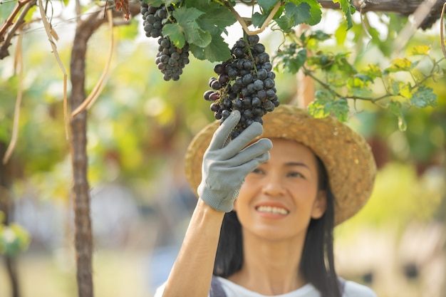 happy-smiling-cheerful-vineyard-female-wearing-overalls-farm-dress-straw-hat_1150-42497-7974250