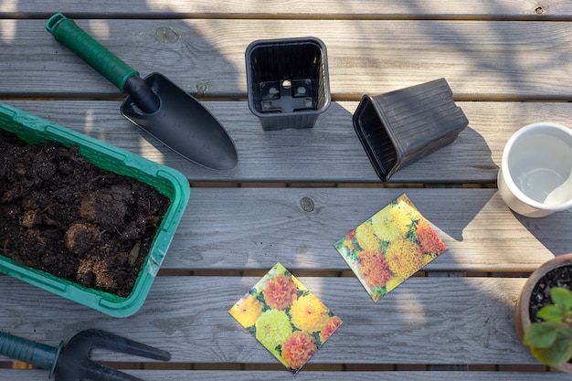 set-garden-tools-seedlings-pots-soil-wooden-table-preparation-planting-flower-seeds-tagetes_102556-719-6211053