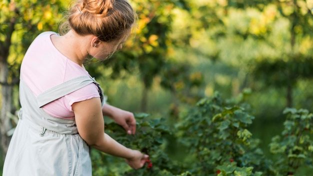 side-view-girl-picking-fruits_23-2148617227-5013316