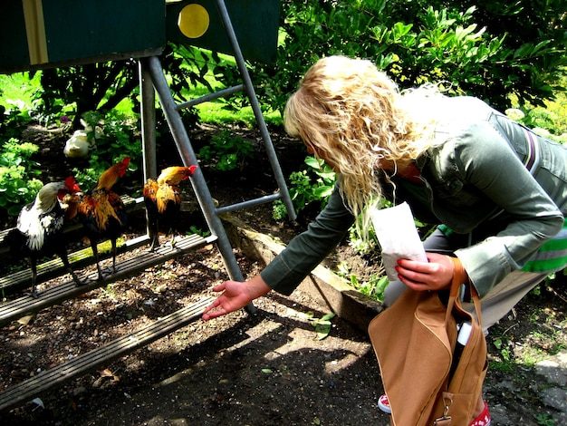 side-view-woman-feeding-chickens-farm_1048944-28220113-6608409