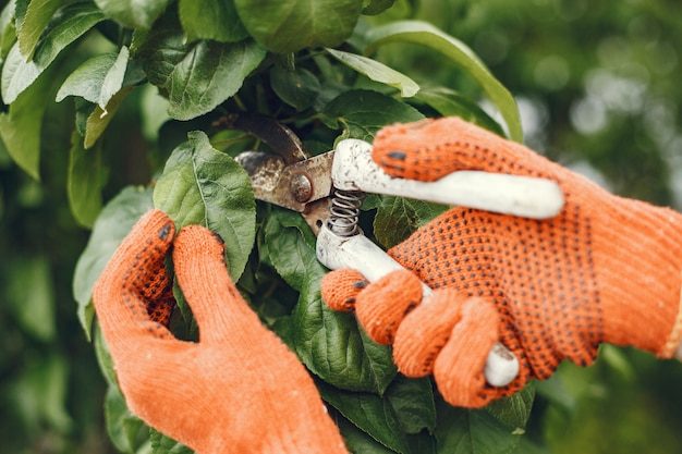 someone-trimming-bushes-with-garden-scissors_1157-37103-8509116