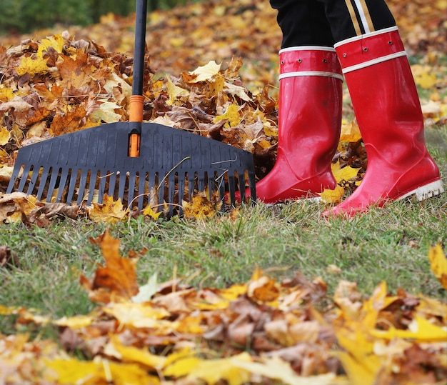 woman-cleaning-up-fallen-leaves-with-rake-outdoors-autumn-work_151544-1815-1654644