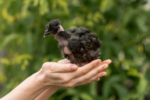 woman-holding-baby-bird-farm_23-2148200894-1755190