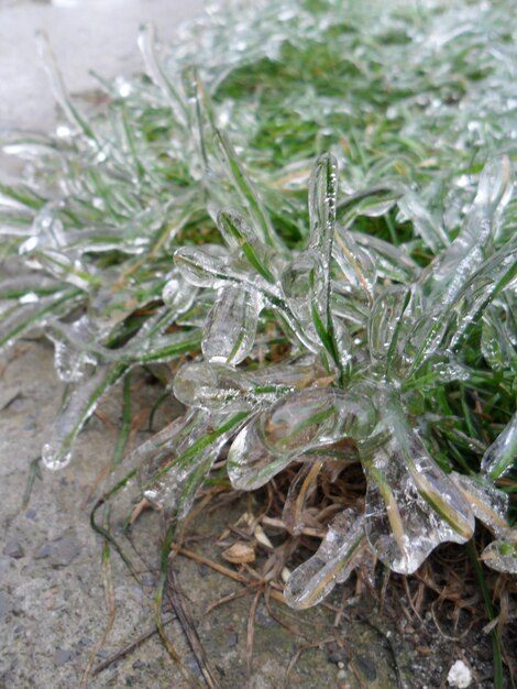 close-up-water-drops-grass_1048944-22417513-9975823