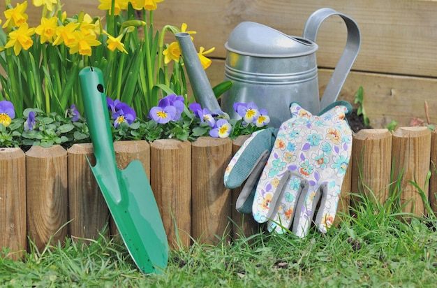 flowers-pot-by-plants-field_1048944-19979330-3554552