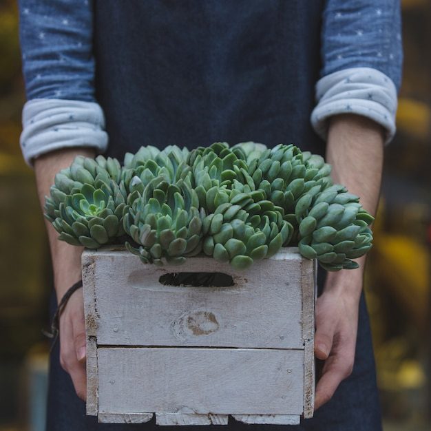 male-florist-holding-wooden-basket-suculentus_114579-2478-5628738