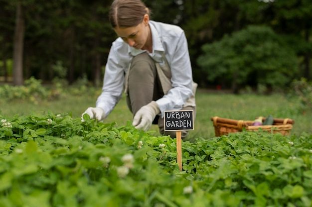 medium-shot-woman-checking-plants_23-2149128136-2214957