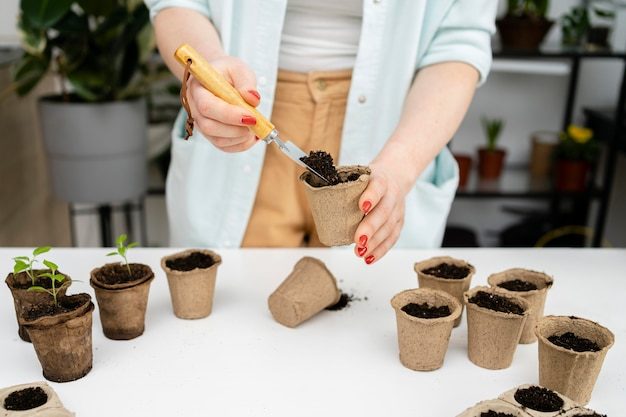 top-view-soil-plants_23-2148928439-4001458