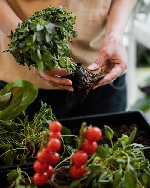 woman-holding-plant-pot-with-exterior-roots_23-2148850839-2044886