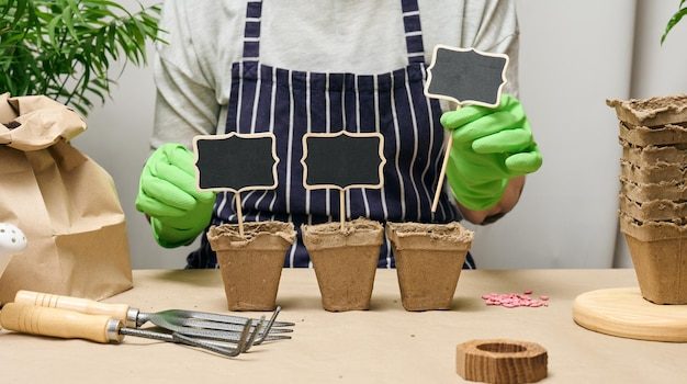 woman-home-is-planting-plants-paper-cup-growing-vegetables-home_1048944-19803381-3853256