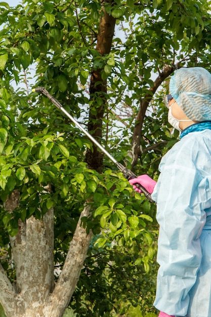 woman-protective-suit-is-spraying-apple-trees-from-fungal-disease-vermin-using-pressure-sprayer-with-chemicals-orchard_393202-7192-8841147