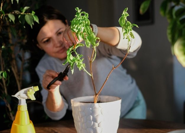 woman-taking-care-home-garden-plant_105694-6796-3591463