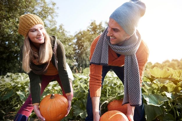 young-couple-walking-fiel-with-ripe-pumpkins_329181-15856-1162046