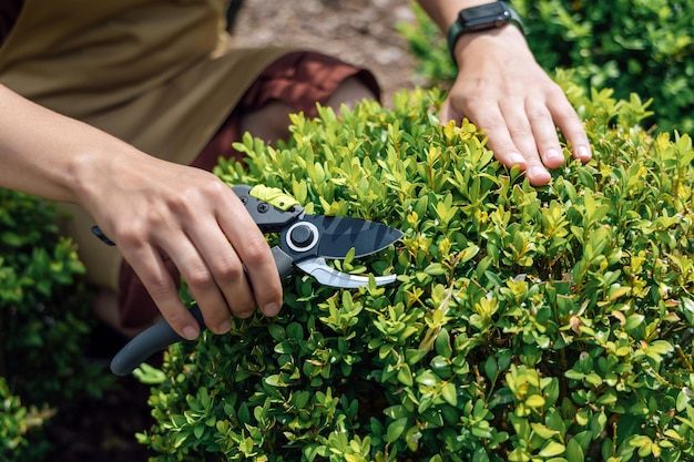 young-womangardener-with-garden-scissors-hand-standing-front-garden-house_175086-2657-8060763